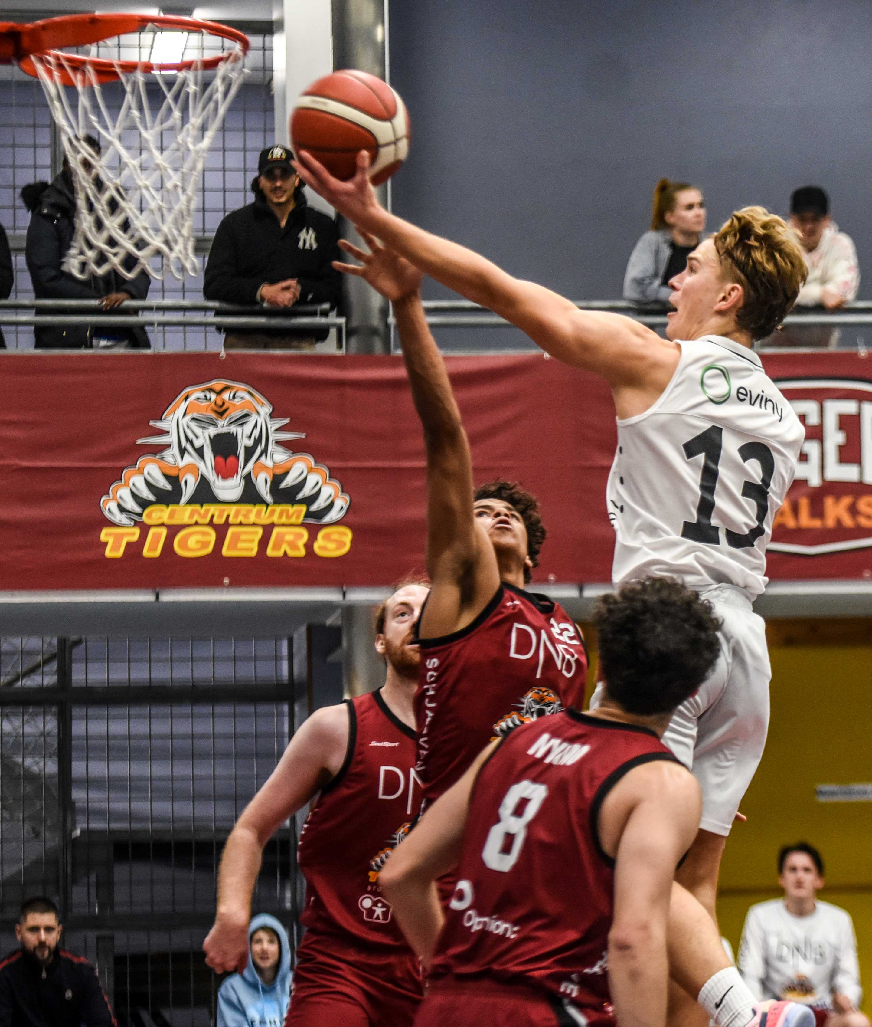 Reidar Greve endte med 10 poeng, 6 returer og 5 assists for Gimle mot Centrum Tigers. Her legger han en layup over Elias Demoniere. Bak ser vi Petar Kutlesic, nummer 8 er Anders Nymo.
FOTO: ERIK B. BERGLUND 