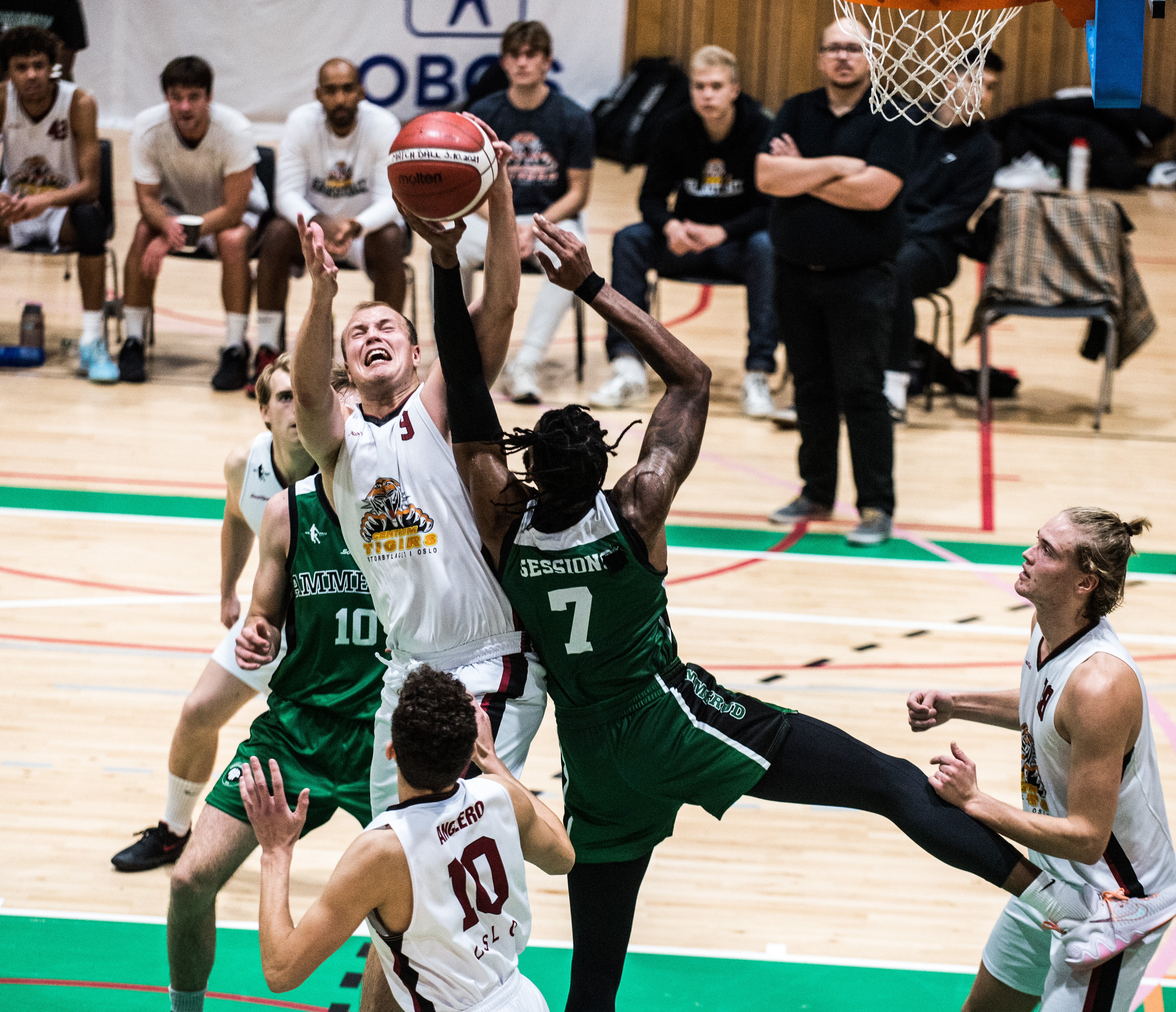 Johannes Dolven kjempet seg til 21 returer og ble toppscorer med 31 poeng da Centrum Tigers snudde til seier 69-64 over Ammerud. Her er den 2,02 m lange forwarden høyest i en av mange dueller med Jordan Session. Bak Dolven er Simon Midtvedt og Fredrik Trana (delvis skjult), nummer 10 er Moritz Anglero og til høyre i bildet Georg Helvik.
FOTO: ERIK BERGLUND  