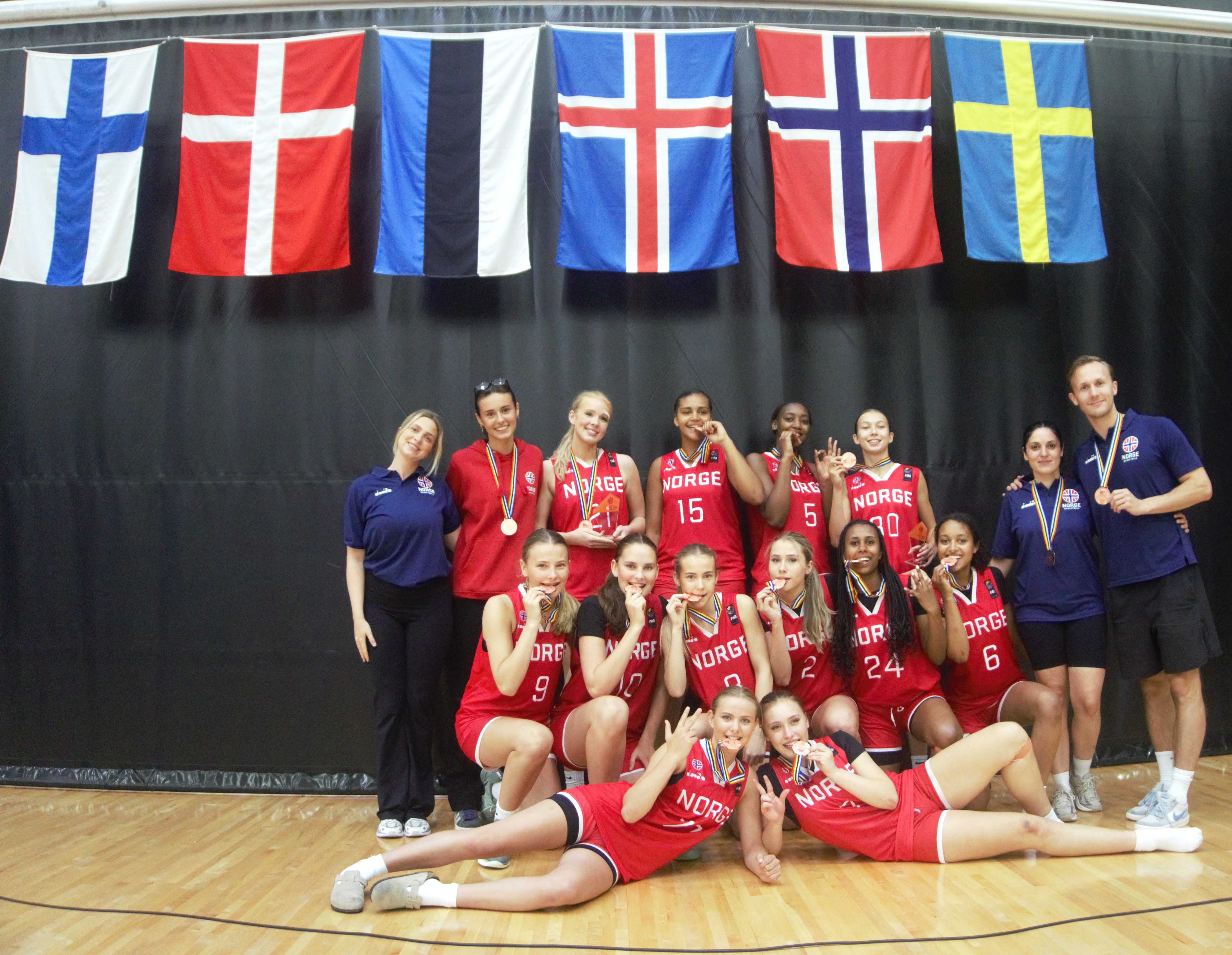 Bronsejenter og fremtidshåp