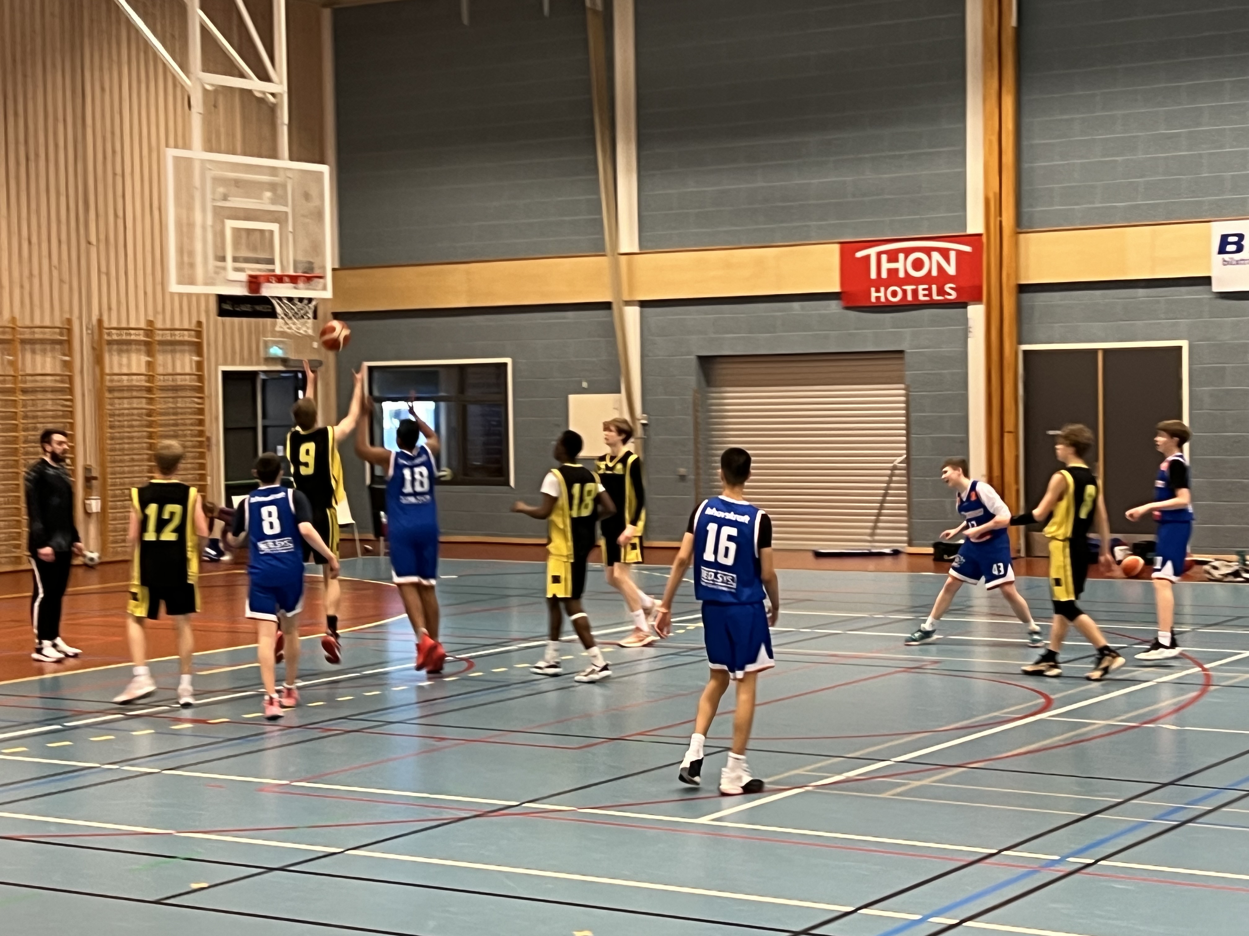 basket 1.jpg