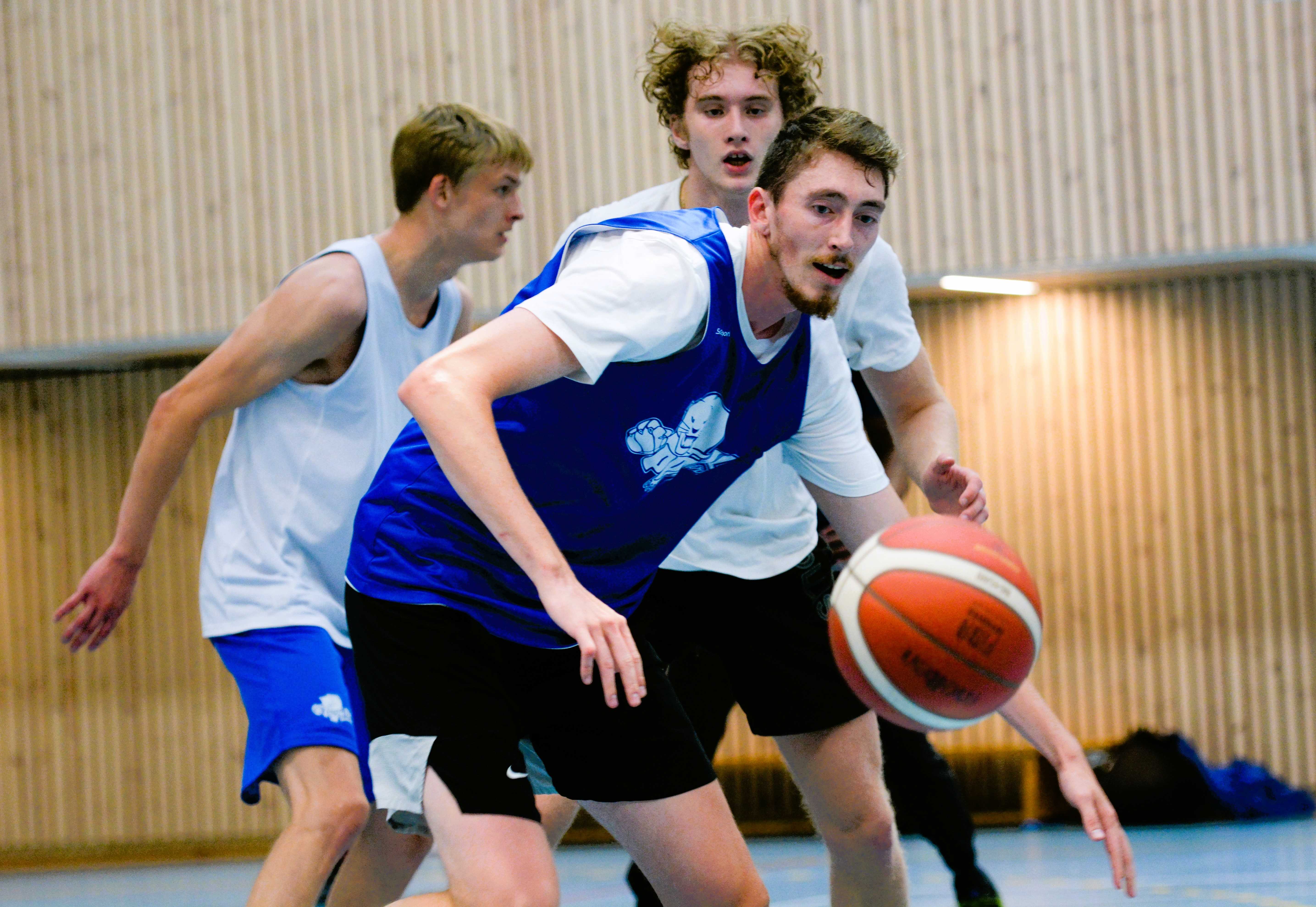 Jacob Tryon ruver ikke på dette bildet, men måler 211 cm og blir en tøff center å hanskes med for Oppsals motstandere i BLNO denne sesongen. 23-åringen fra California har fire sesonger bak seg i NCAA Division 1, to for University of Portland og to for Samford University i Alabama. Her dekkes Tryon av Sebastian Larsen, bak ser vi Niclas Ellingsen.
FOTO: MARIANNE MAJA STENERUD
