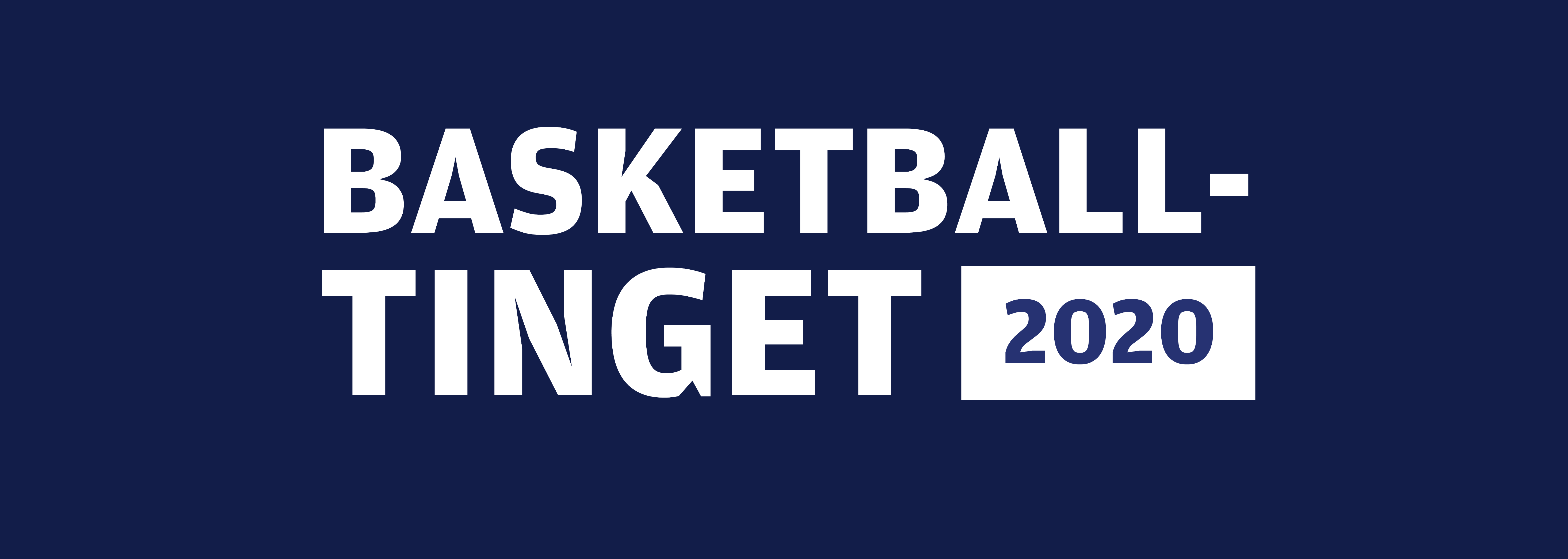 Basketballtinget 2020 tilpasset (1).png