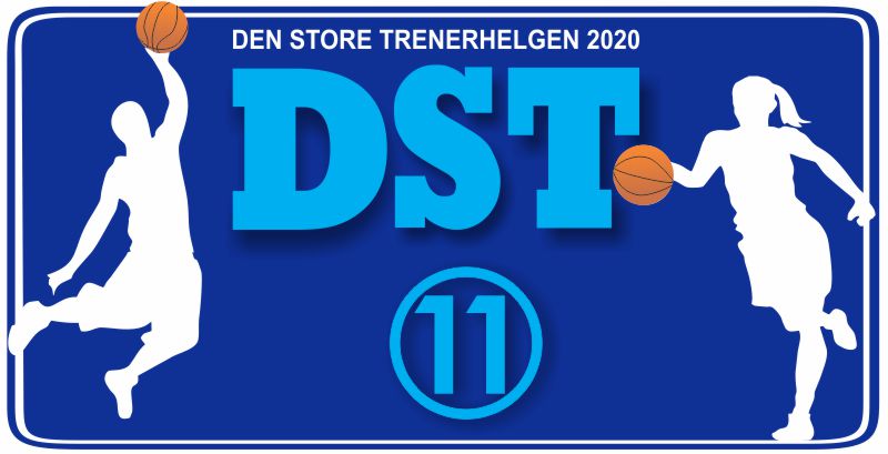 DST2020logo.jpg