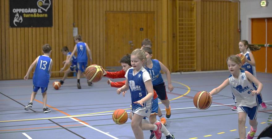 EasyBasket Nasjonalt løft vil være et av temaene under DLK 2020.